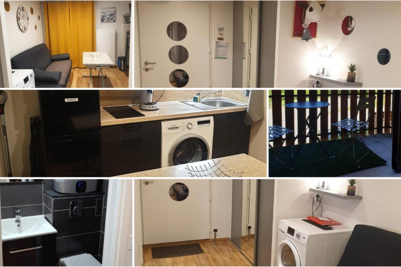 Le 67,Ski Et Randonnee,Lave Linge,Seche Linge,Parking Bernex Ngoại thất bức ảnh
